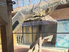 -杭州野生动物世界