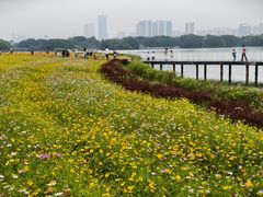 -海珠湖公园