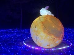-青龙湖公园
