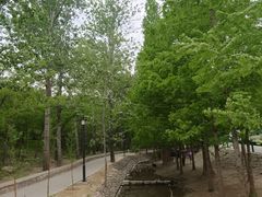 -白水寺森林公园