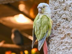 -杭州野生动物世界