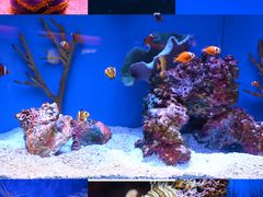 -上海海洋水族馆