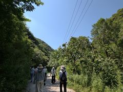 -抱龙峪