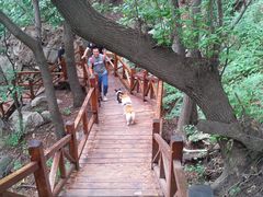 -大岭沟猕猴桃谷风景区