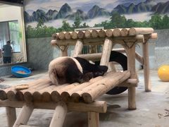 -西安秦岭野生动物园