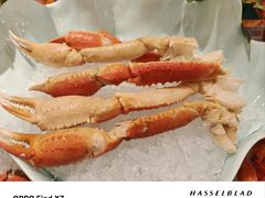 -广州万富希尔顿酒店-感趣自助餐厅·生蚝海鲜刺身