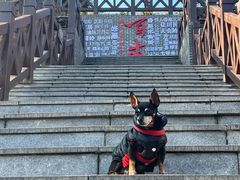 -刘伯温故里景区百丈漈