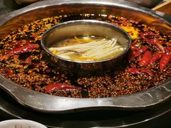 -一斗火锅·招财羊毛肚(泰吉滨江店)