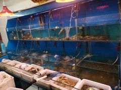 水产区-红灯笼龙凤饭店(宁波老字号店)