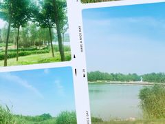 -马家湾湿地公园