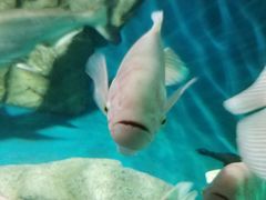 -泉州海丝野生动物世界