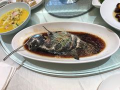 -碧丽宫大酒店(召稼楼店)