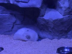 -石家庄海洋公园