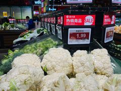 -昌大昌(清远顺盈店)