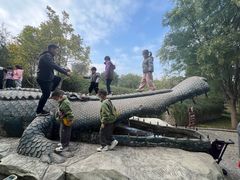 -石家庄市动物园