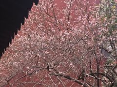 -钱王祠