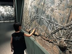 -辽宁古生物博物馆