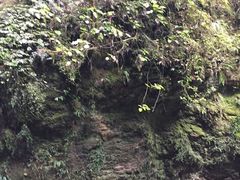 -怀托摩萤火虫洞