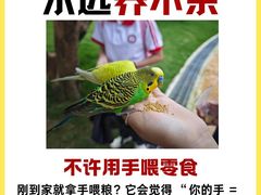 -爱侣宠医·鹦鹉专科·小型哺乳类·异宠专科(灵石路店)