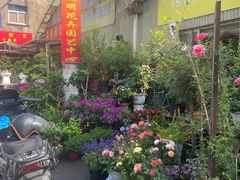 -金陵花卉交易市场