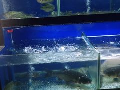水产区-李东农庄(中南百草园地标店)