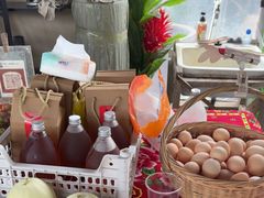 -马陆小张葡萄园农家乐