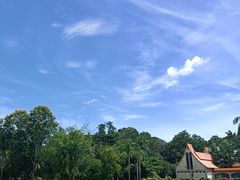 -中国科学院西双版纳热带植物园