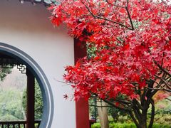 -中山公园