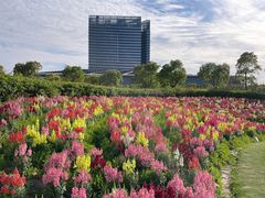 -春花秋色城市公园