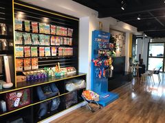 -西元前宠物酒店(郑庄府邸店)