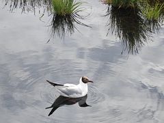 -花湖生态旅游区