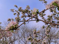-海棠花溪(元大都城垣遗址公园)
