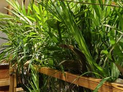 -天发长铁锅炖(王秀村店)