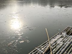 -宁波野生动物园
