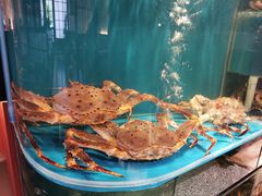 -蟹田居·活蟹料理(东城店)