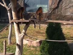 -大连森林动物园