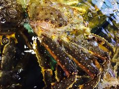 -蟹之国·精品蟹料理(极地店)