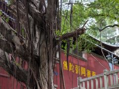 -乌山风景区