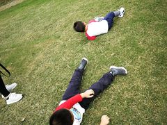 -前小桔亲子创意农场·草莓采摘·露营烧烤