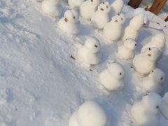 -绿野森林乐园冰雪季