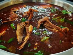 -新乡杨记红焖羊肉火锅(天坛南门店)