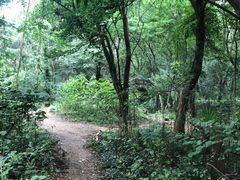 -青龙山国家森林公园