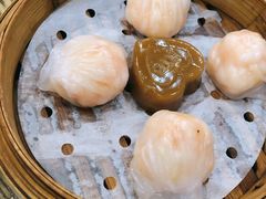 金牌虾饺皇-赏点粤式点心(广州塔店)