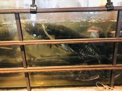 水产区-上名堂·鱼头好吃(体育场路店)