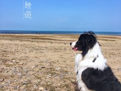 -青海湖国家重点风景名胜区售票处
