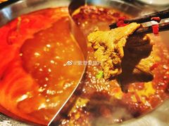 -井格重庆火锅(西直门凯德Mall店)