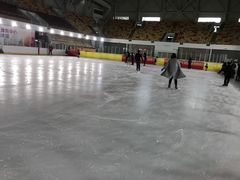 -松江大学城体育馆滑冰馆