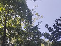 -深圳湾公园(南山区)