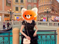-澳门威尼斯人综合度假区