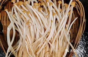Sichuan Well Water Bean Sprouts